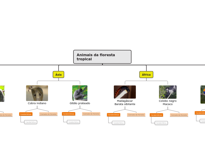 Tipos de animais na floresta tropical