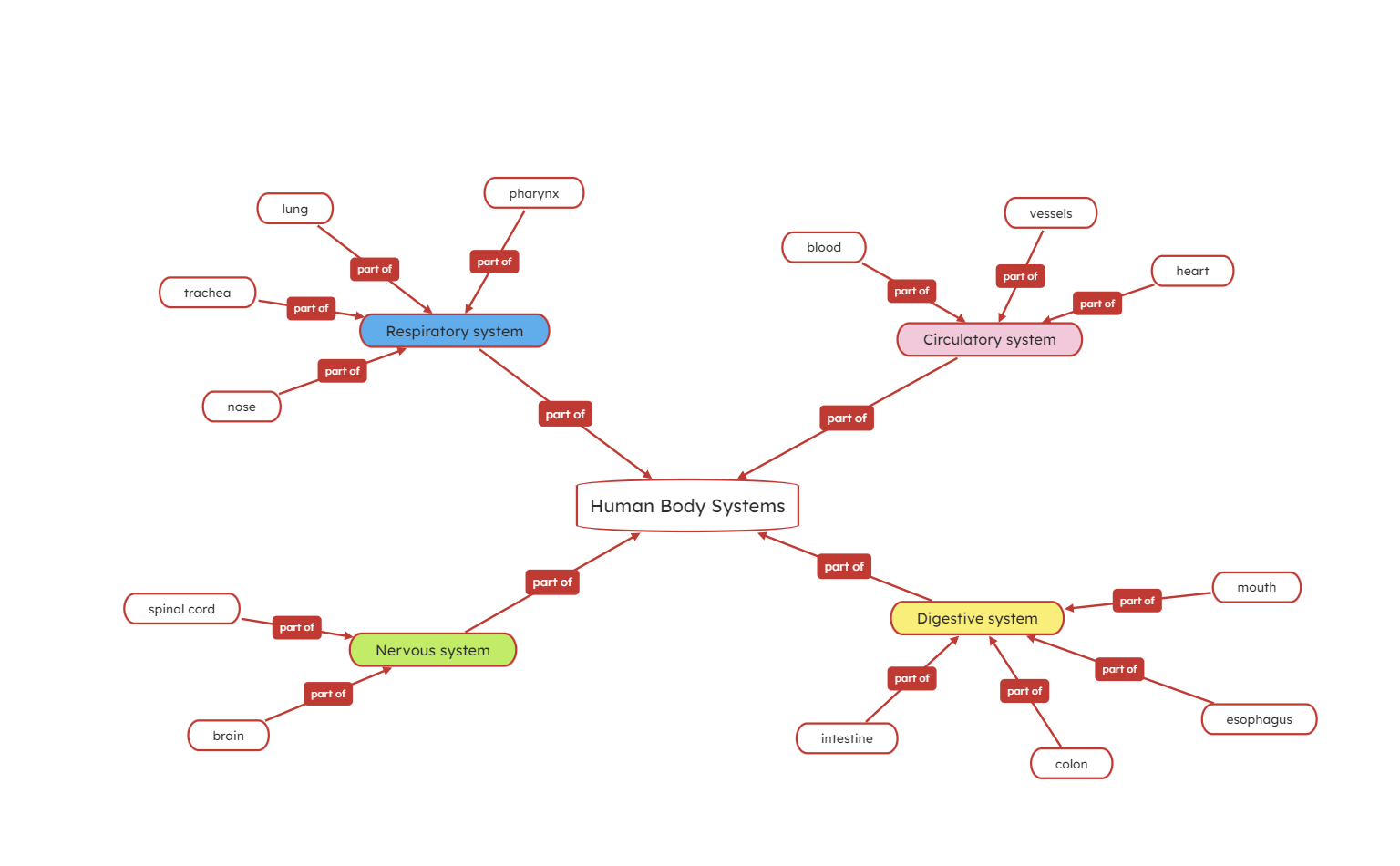 Human Body Systems Concept Map