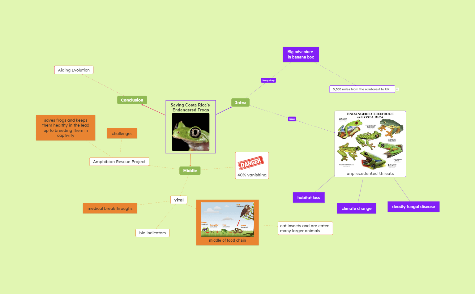 Saving Costa Rica's Endangered Species Concept Map