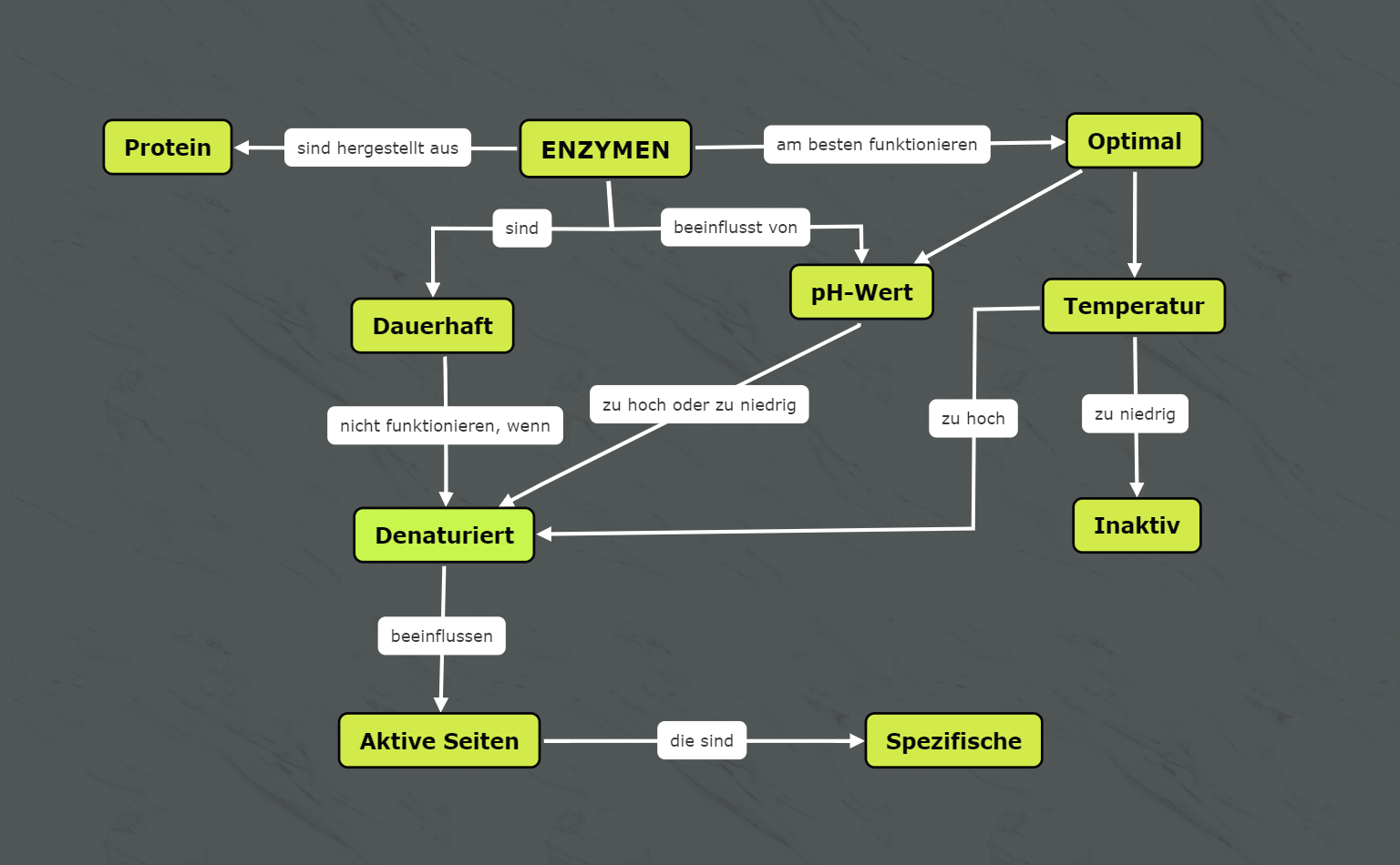 Beispiel einer Concept Map für Enzyme