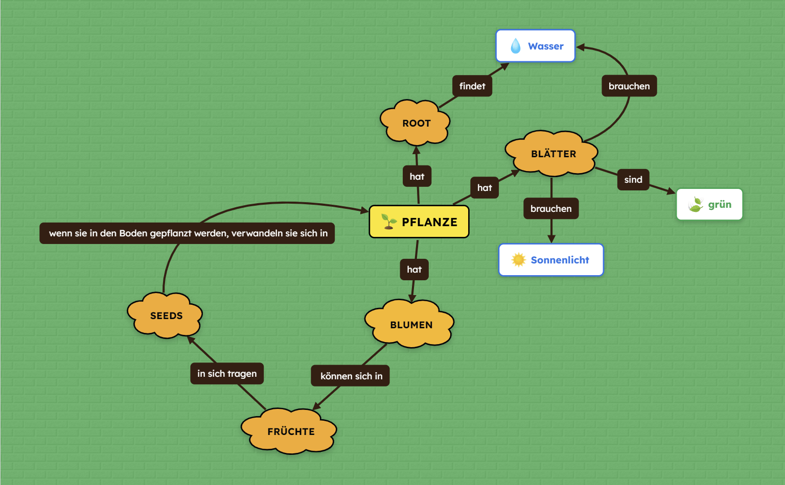 Pflanze Concept Map Vorlage