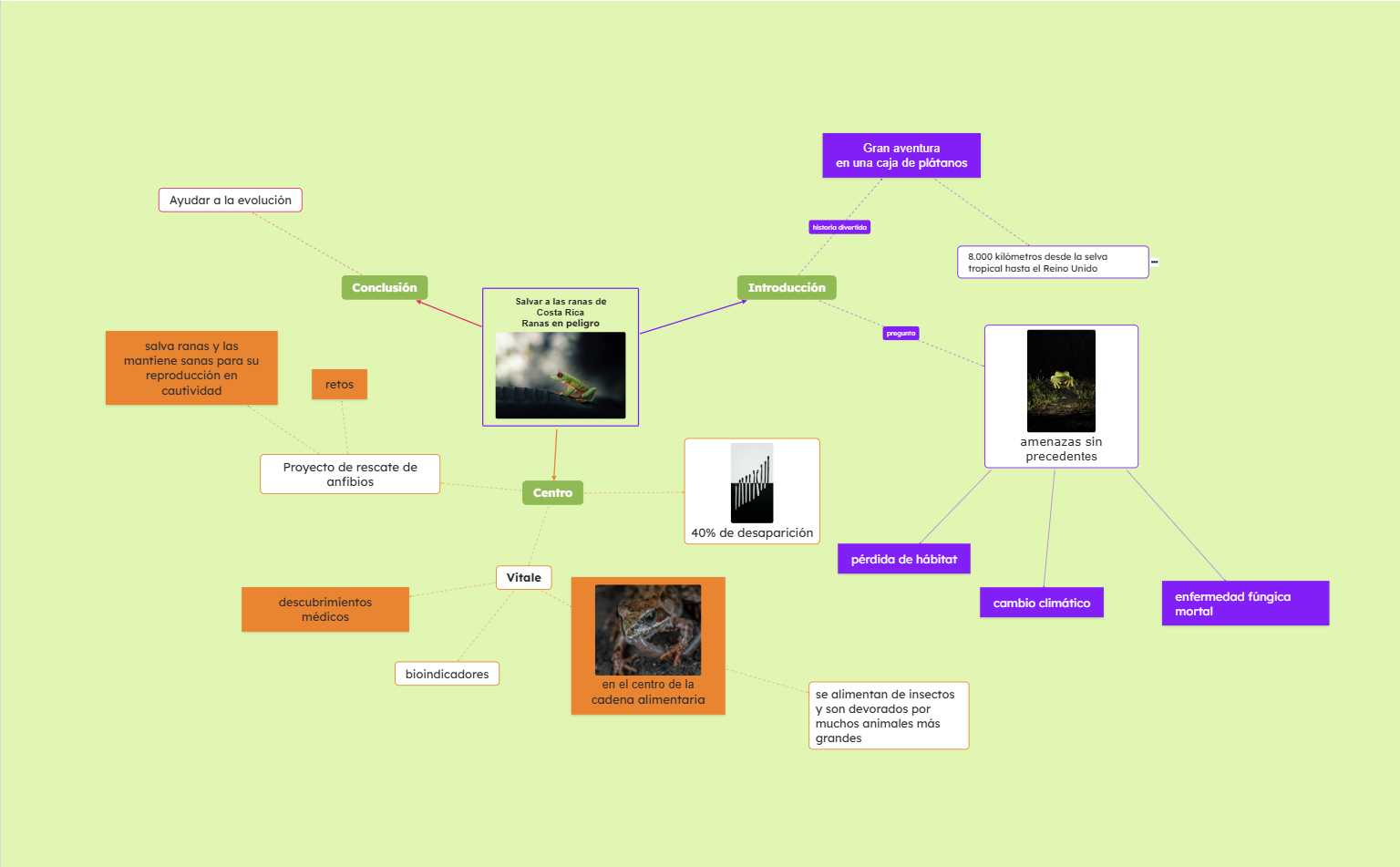 Mapa Conceptual de Salvando a las Especies en Peligro de Costa Rica