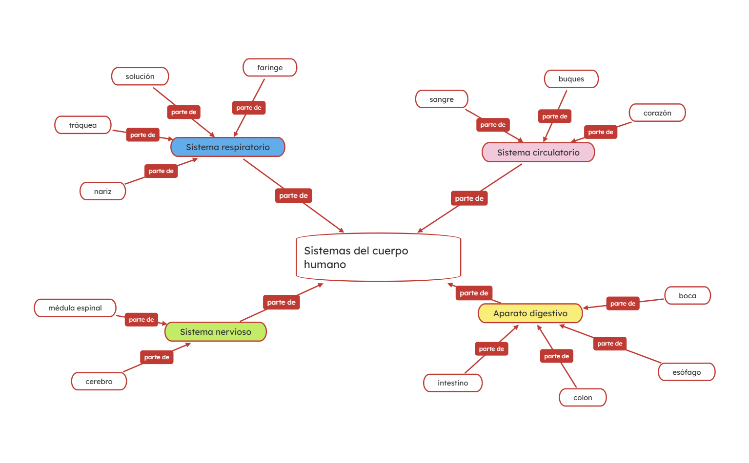 Mapa Conceptual de Sistemas del Cuerpo Humano