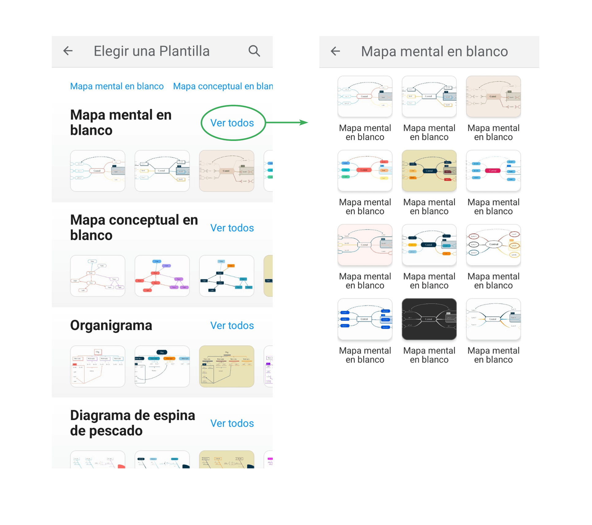 Elige un tema de la biblioteca de temas de la aplicación de mapas mentales