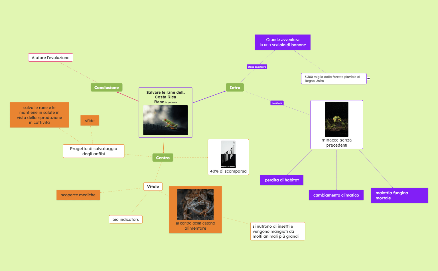 Mappa concettuale salvare le specie minacciate della Costa Rica