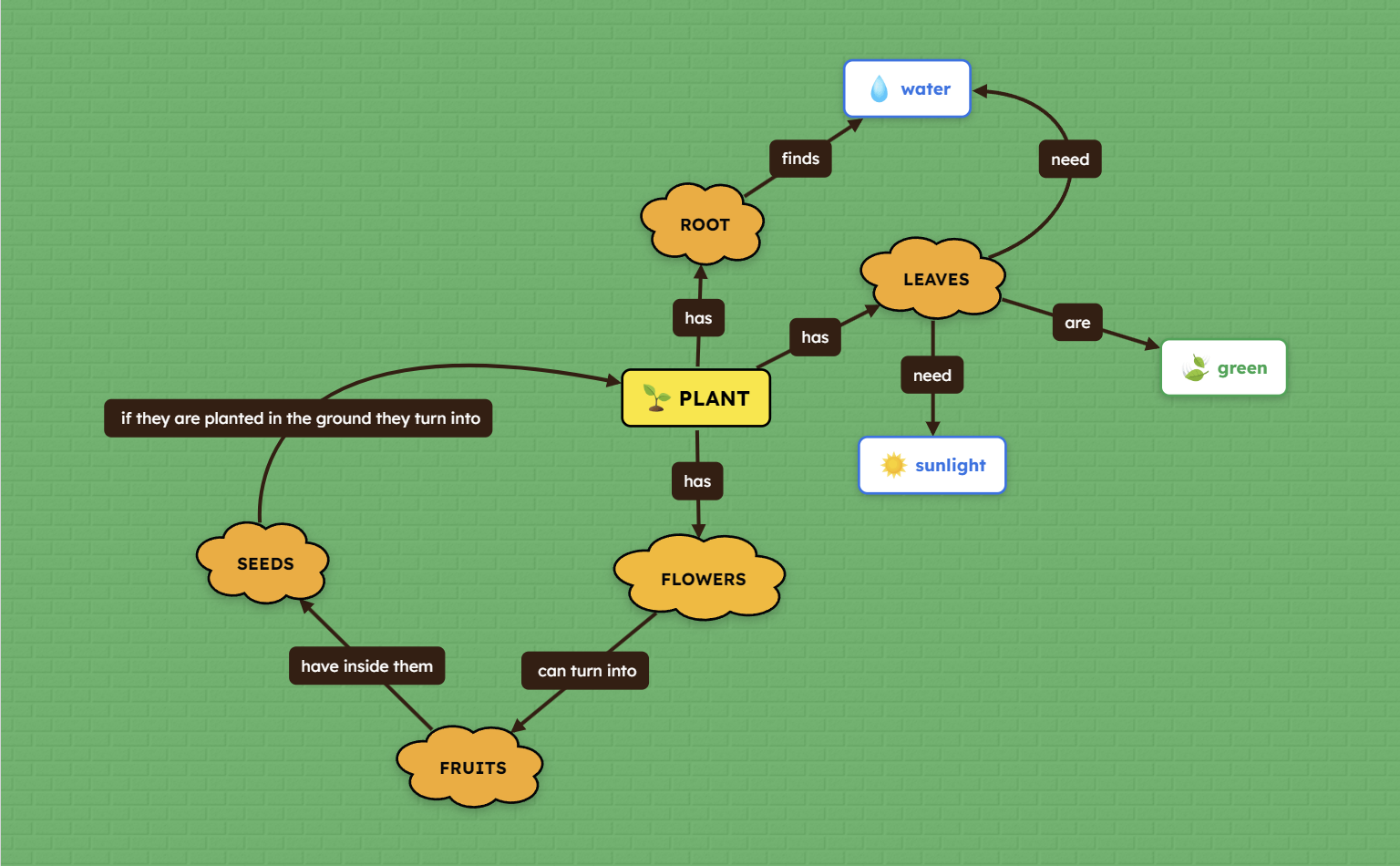 Concept map about plants