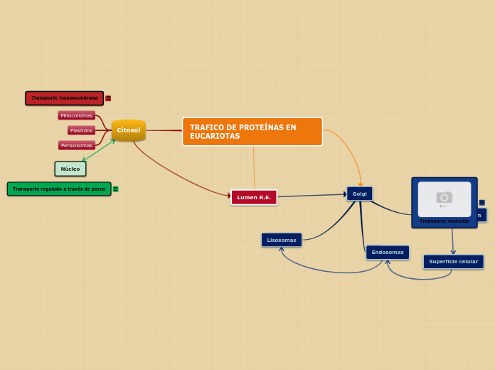 Sample Mind Map