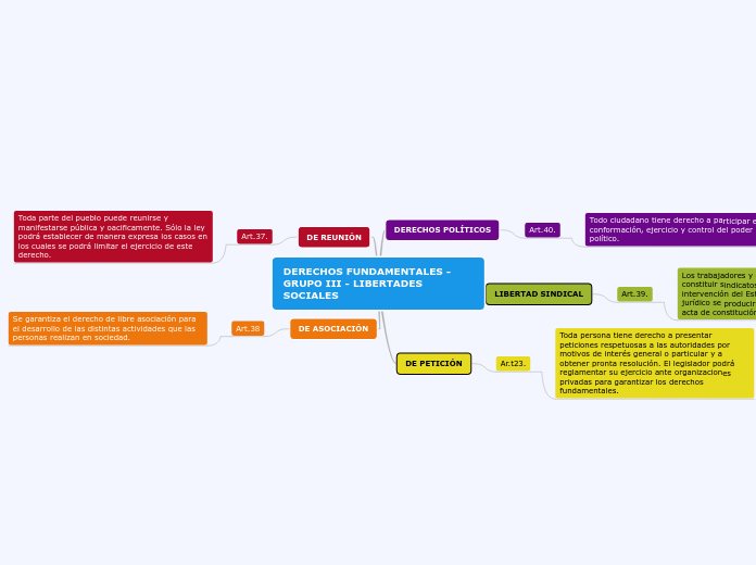 DERECHOS FUNDAMENTALES - GRUPO III - LIBERTADES SOCIALES