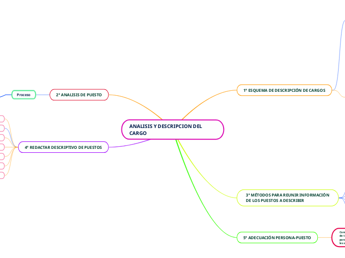 ANALISIS Y DESCRIPCION DEL CARGO