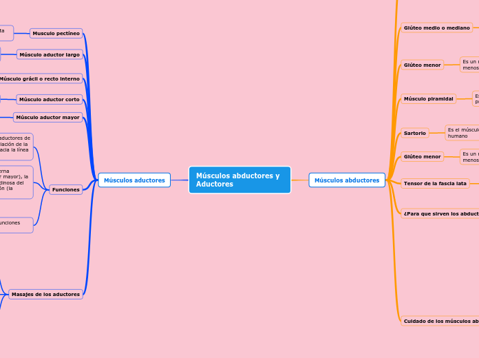 Músculos abductores y Aductores