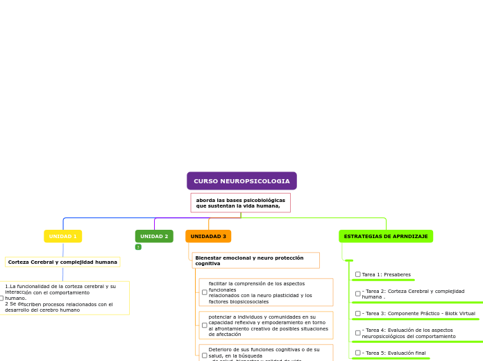 CURSO NEUROPSICOLOGIA