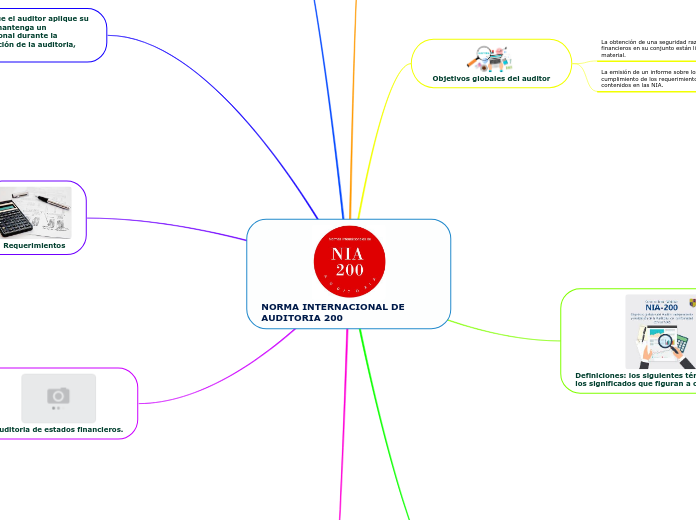 NORMA INTERNACIONAL DE AUDITORIA 200