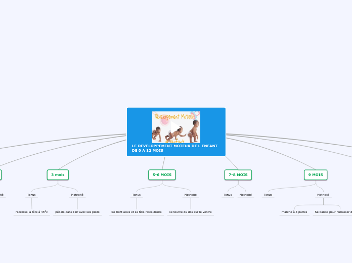 LE DEVELOPPEMENT MOTEUR DE L ENFANT DE 0 A 12 MOIS