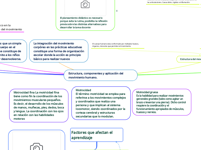 Estructura, componentes y aplicación del movimiento humano.