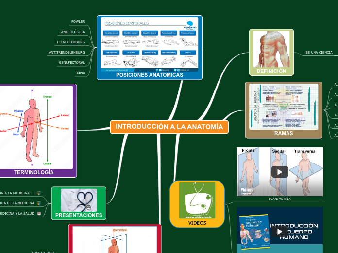 INTRODUCCIÓN A LA ANATOMÍA