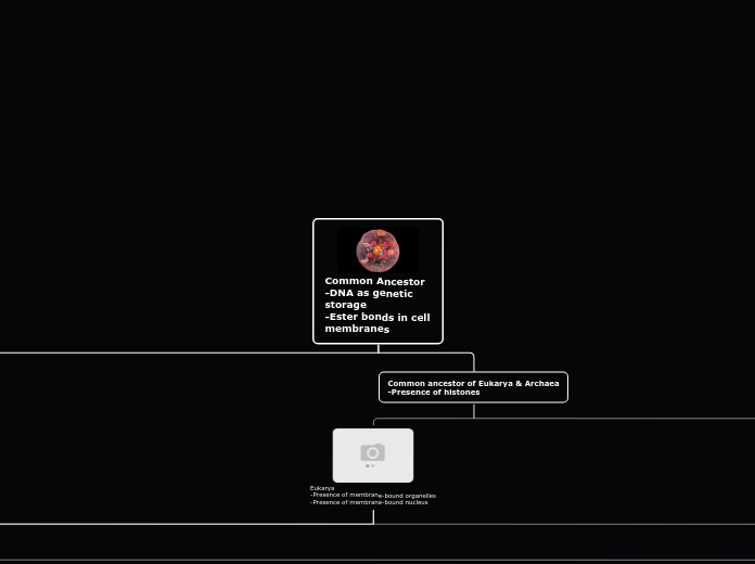 Organigram