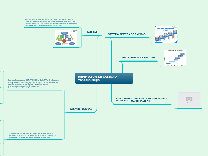 DEFINICION DE CALIDAD-Vanessa Mejía