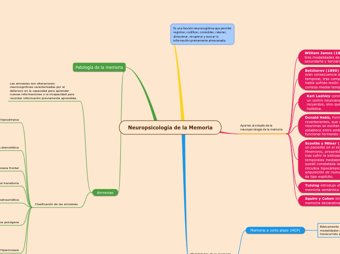 Neuropsicología de la Memoria