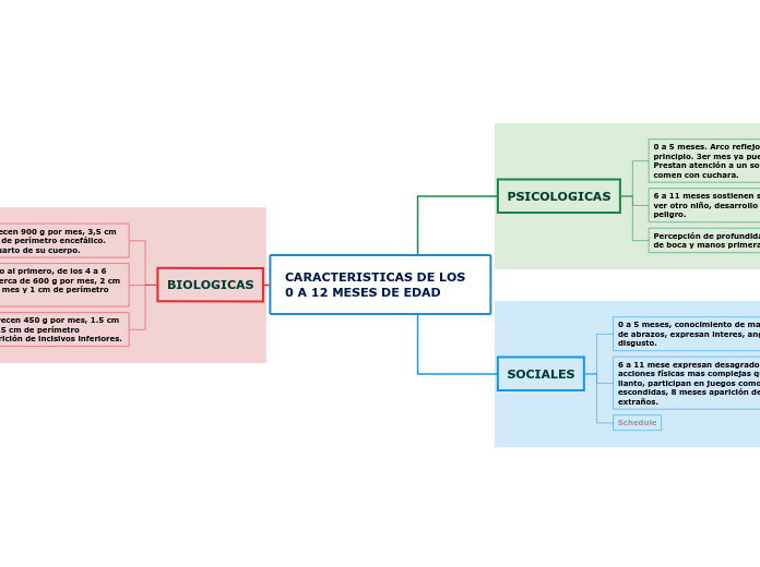 CARACTERISTICAS DE LOS 0 A 12 MESES DE EDAD