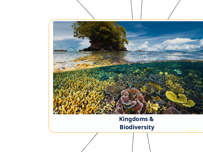 Kingdoms & Biodiversity