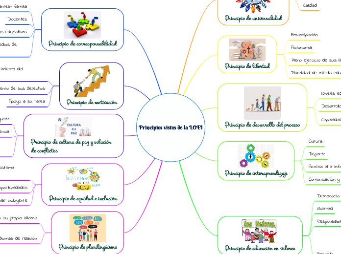 Principios vistos de la LOEI