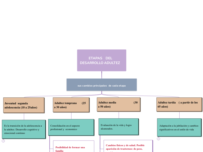           ETAPAS    DEL                                                       DESARROLLO ADULTEZ 