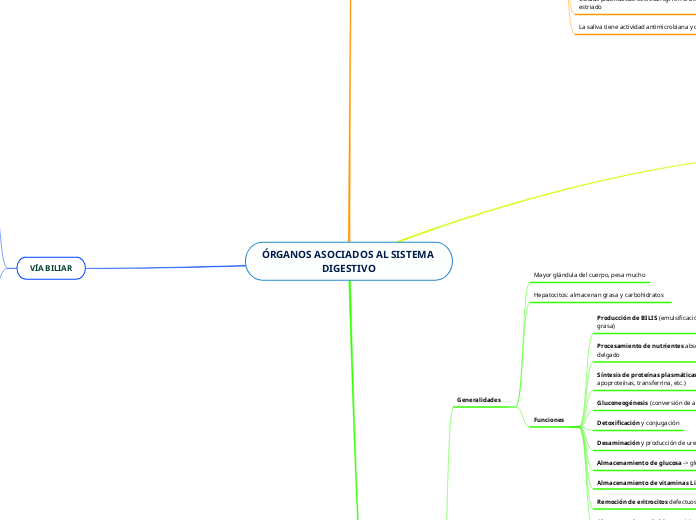 ÓRGANOS ASOCIADOS AL SISTEMA DIGESTIVO