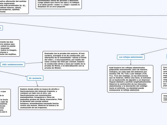 EXAMEN NEUROLOGICO