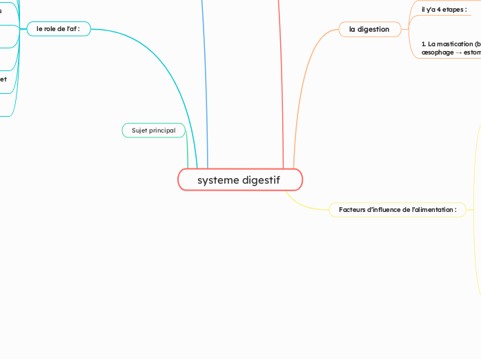 systeme digestif 