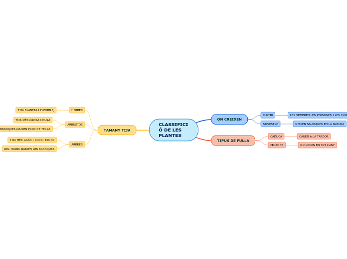 Organigrama arbol