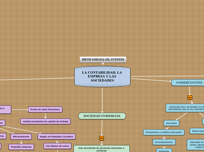 LA CONTABILIDAD, LA EMPRESA Y LAS SOCIEDADES