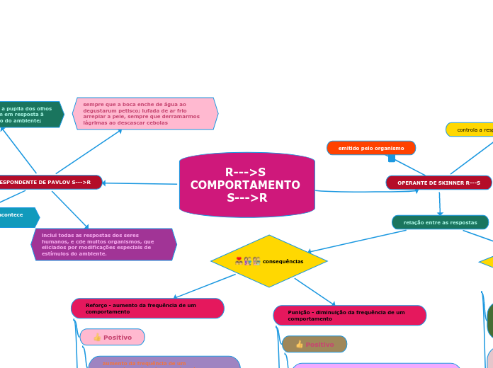 R--->S COMPORTAMENTO S--->R