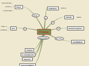 Sample Mind Map