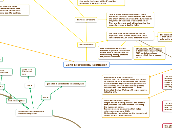 Gene Expression/Regulation