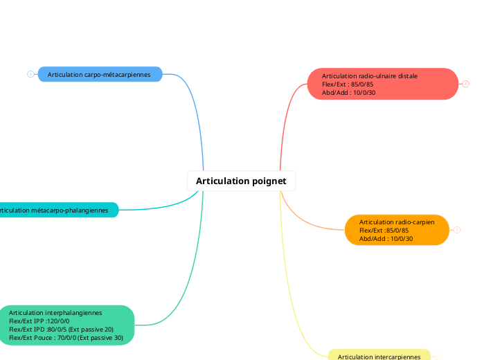 Articulation poignet