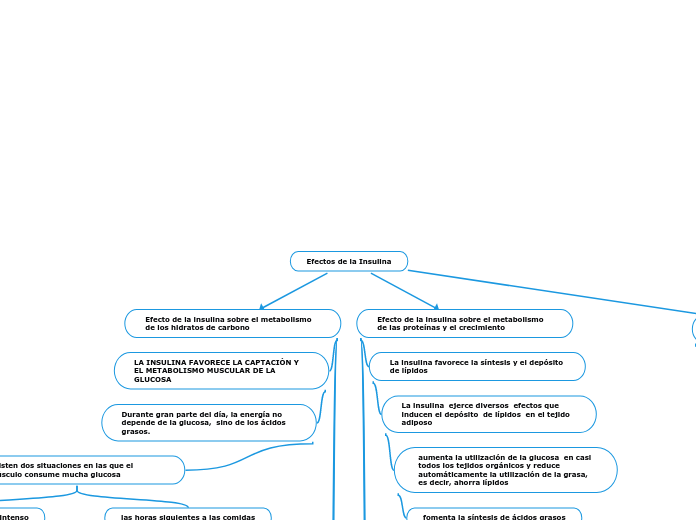 Efectos de la Insulina