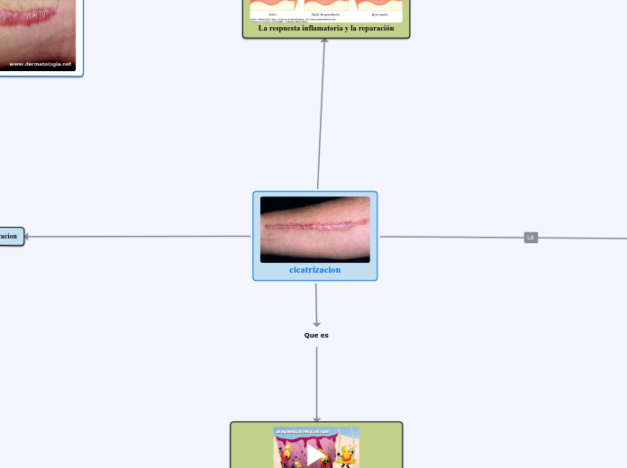 cicatrizacion