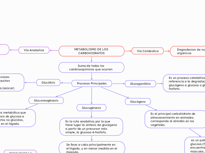 METABOLISMO DE LOS CARBOHIDRATOS