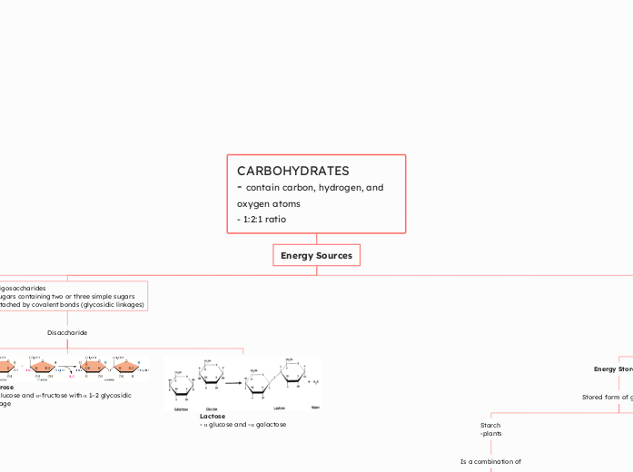 Osalumese Ikpotokin - Concept Mapping Carbohydrates