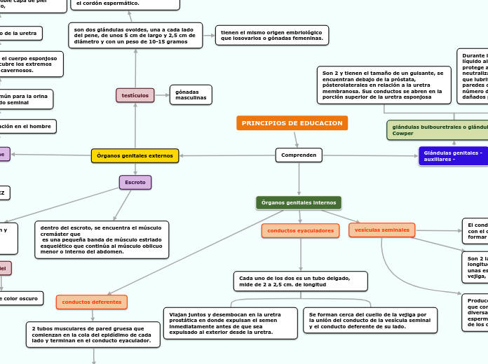 PRINCIPIOS DE EDUCACION