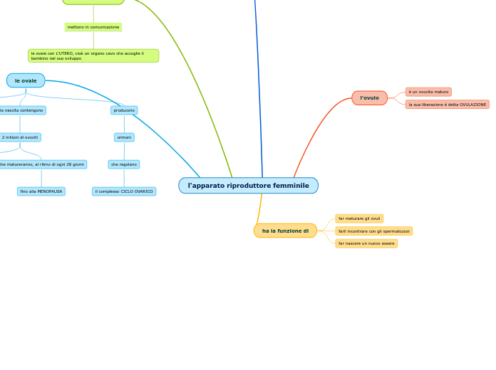 l'apparato riproduttore femminile
