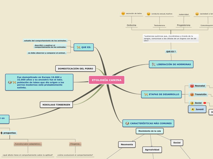 Sample Mind Map