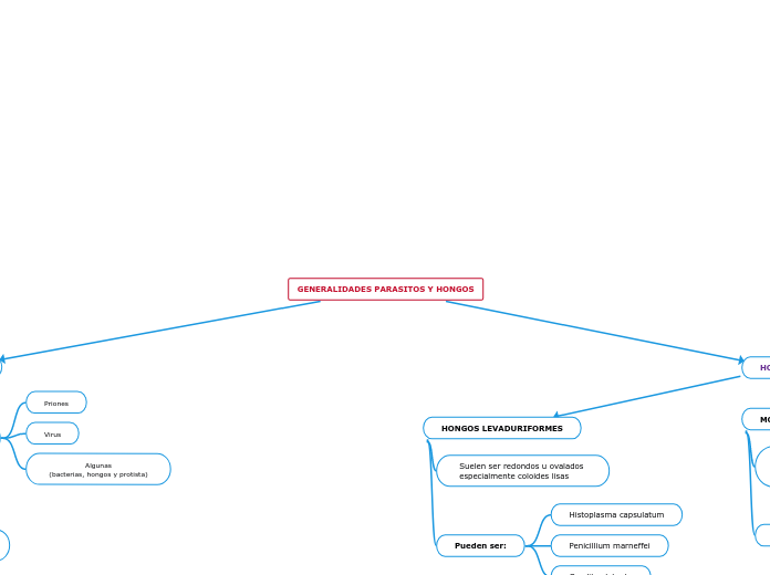 GENERALIDADES PARASITOS Y HONGOS