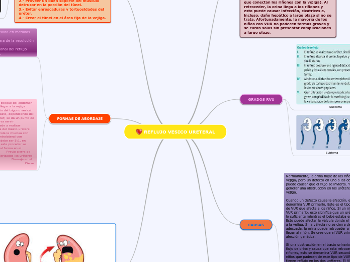REFLUJO VESICO URETERAL