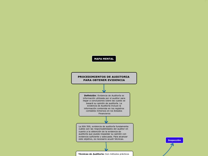 PROCEDIMIENTOS DE AUDITORIA PARA OBTENER EVIDENCIA