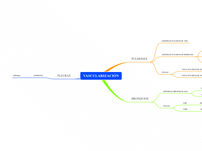VASCULARIZACIÓN