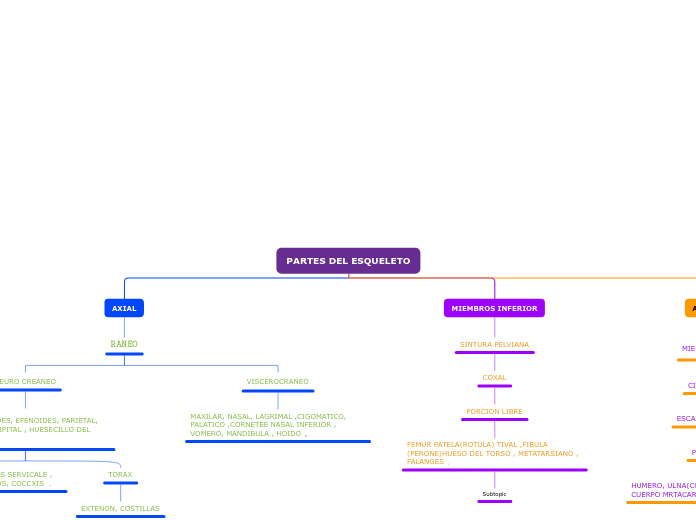 PARTES DEL ESQUELETO