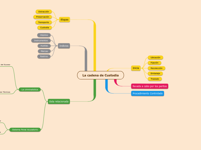 La cadena de Custodia