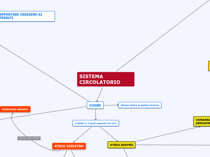 SISTEMA CIRCOLATORIO