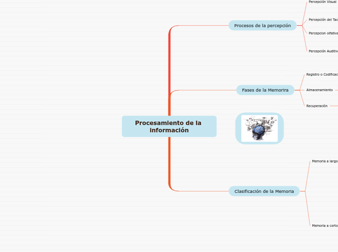 Procesamiento de la información